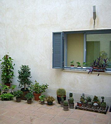 azuljardines.com_diseño_instalacion_jardines_patio_Juan_antes_2