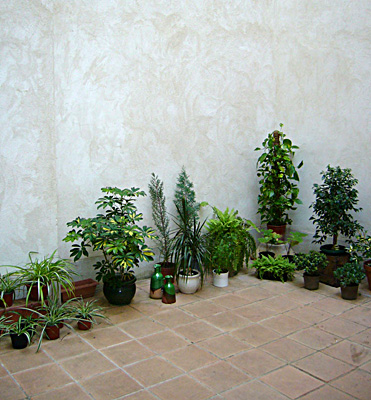 azuljardines.com_diseño_instalacion_jardines_patio_Juan_antes_3