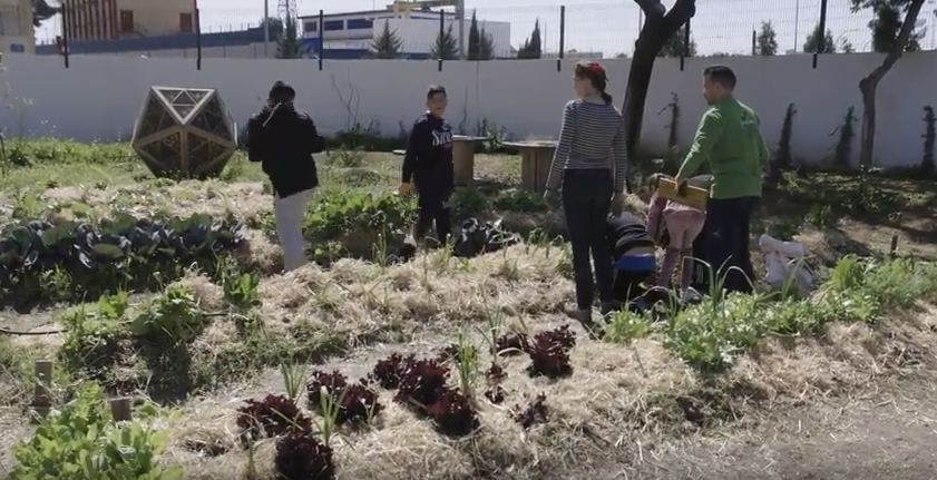 132   Fuera de cuadro  o cómo construir cinco jardines singulares en cinco colegios de Sevilla   YouTube